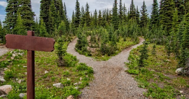 two paths diverge in the woods